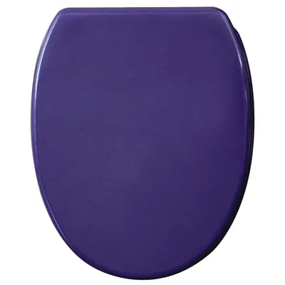 KLOBRILLE TOILETTENSITZ TOILETTENBRILLE WC BRILLE KLOSITZ BAD GLITZER LILA