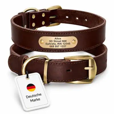 Hundehalsband mit Namen und Telefonnummer Gravur personalisiert, Leder, Messing – neu – Sonstiges – überwiegend weiß – Foto…