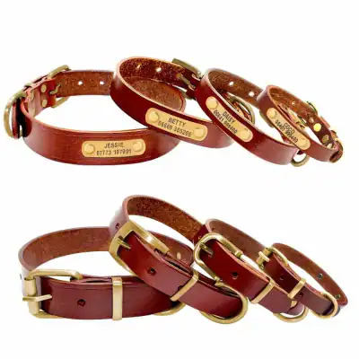 Hundehalsband Mit Namen Telefonnummer Gravur Personalisiert Verstellbar Leder – neu – Sonstiges – überwiegend weiß – Foto 1…