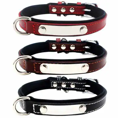 Hundehalsband Mit Namen Telefonnummer Indiv Gravur Halsband Leder Gepolstert – neu – Sonstiges – überwiegend weiß – Foto 1…
