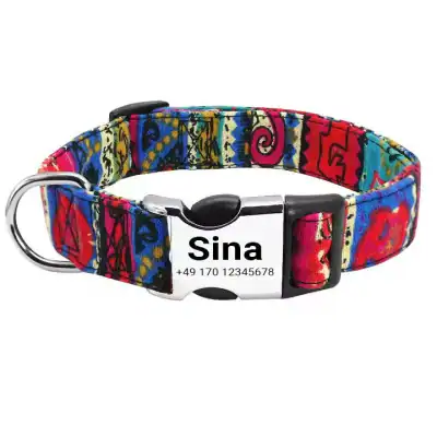 Hundehalsband personalisiert „Sina“ bunt Nylon Gravur Name Nummer verstellbar S‑ – neu – Sonstiges – Foto 1 von 2
