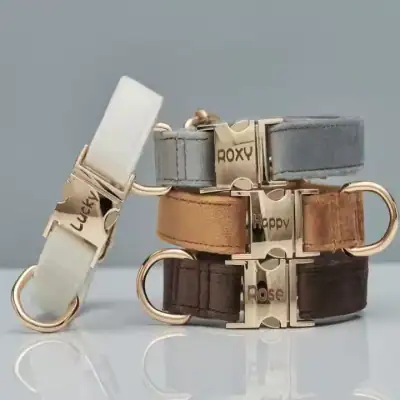 Personalisiertes Samt Hundehalsband mit Gravur | Verstellbar | S–L – neu – Sonstiges – überwiegend grau – Foto 1 von 4