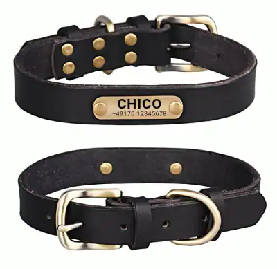 Hundehalsband Namen Telefonnummer Gravur Personalisiert Halsband Weiches Leder – neu – Sonstiges – überwiegend weiß – Foto…