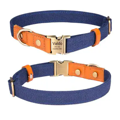 VALDO Hundehalsband mit Gravur – PVC & Leder – Messing – Blau Grün S–L – neu – Sonstiges – Foto 1 von 5