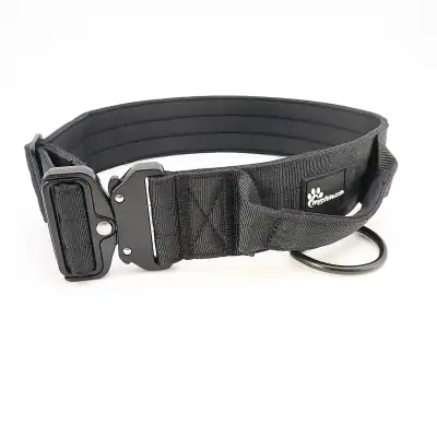 Taktisches Hundehalsband große Hunde Name Telefon graviert – neu – Sonstiges – überwiegend weiß – Foto 1 von 5