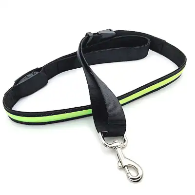 LED leuchtende Hundeleine mit USB, 120-150 cm – neu – Sonstiges – überwiegend weiß – Foto 1 von 5