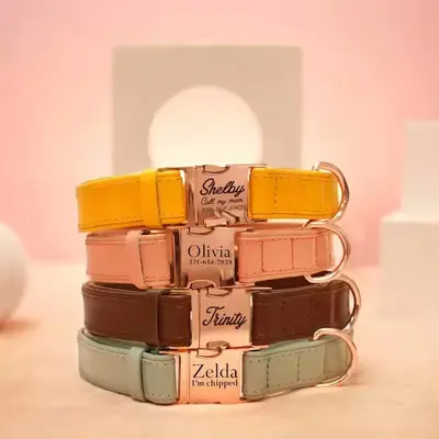 Veganes Hundehalsband Namen Telefonnummer Gravur Weiches Halsband Hund