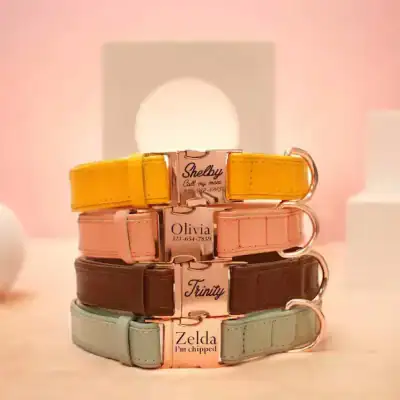 Veganes Hundehalsband Namen Telefonnummer Gravur Weiches Halsband Hund – neu – Sonstiges – überwiegend beige – Foto 1 von 5