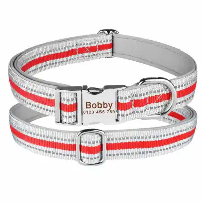 Hundehalsband Namen Telefonnummer Gravur Personalisiert Halsband Verstellbar – neu – Sonstiges – überwiegend weiß – Foto 1…