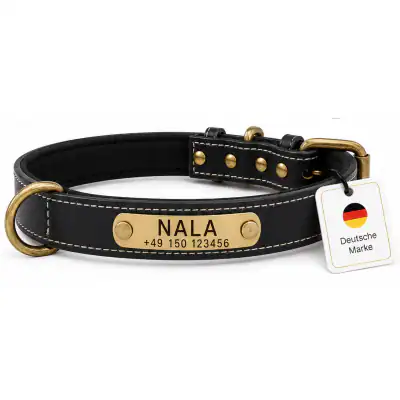 Hundehalsband Namen Telefonnummer Personalisiert Gravur Weiches Leder Halsband – neu – Sonstiges – überwiegend weiß – Foto…