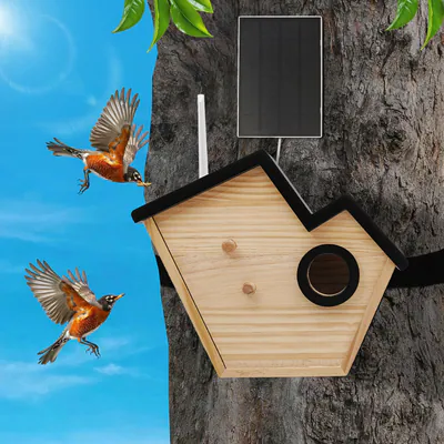 Holz Intelligentes Vogelhaus mit Kamera Solarbetriebenes KI-Erkennung Vogelnest – neu – Garten & Pflanzen – überwiegend…
