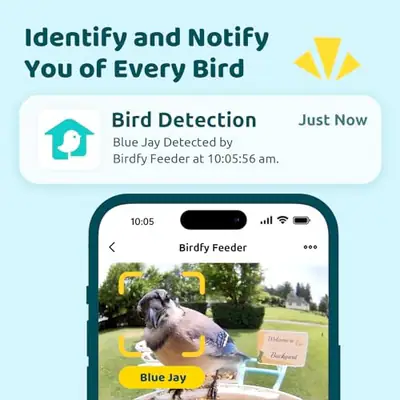 NETVUE by Birdfy Smartes Vogelfutterhaus mit 2K AI Kamera, günstig für Anfänger – neu – Garten & Pflanzen – überwiegend…