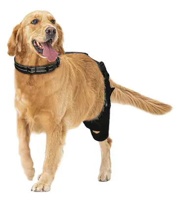 CAMRIER HUNDE KNIEBANDAGE ZUR UNTERSTÜTZUNG BEI KREUZBANDVERLETZUNG, GELENK - – gebraucht, gut – Sonstiges – überwiegend weiß
