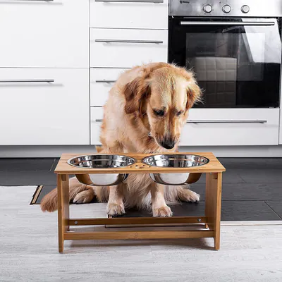 ZONETECH ZONE TECH ERHÖHTE NÄPFE FÜR HUNDE UND KATZE HAUSTIERE - ERHÖHTER – gebraucht, gut – Sonstiges – überwiegend weiß…