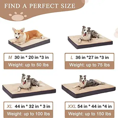 BDEUS ORTHOPÄDISCHE HUNDEBETTEN FÜR KLEINE, MITTLERE, GROSSE HUNDE BIS 50 BIS – gebraucht, gut – Sonstiges – überwiegend…
