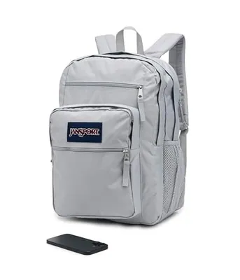 JANSPORT LAPTOP RUCKSACK - COMPUTERTASCHE MIT 2 FÄCHERN, - GEERDET GRAU – neu – Computer & Zubehör – Foto 1 von 5