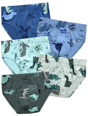 5 Jungen Slips Unterhosen Baumwolle Unterwäsche Unterhosen Boys Kinder Dino – neu – Sonstiges – überwiegend weiß – Foto 1…