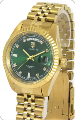 CAVADINI Automatik Miyota 8285 Herrenuhr Leonardo CV-335NJ Edelstahl Gold-Grün – neu – Uhren & Schmuck – Foto 1 von 5