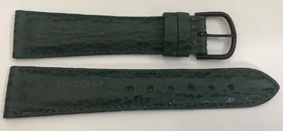 20mm echt Leder Haifisch Design grün Schliesse schwarz – neu – Uhren & Schmuck – Foto 1 von 2