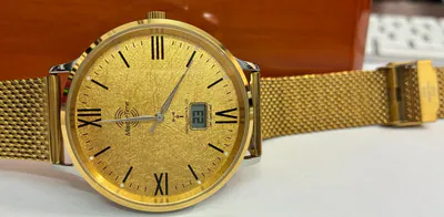 Funk Herrenuhr MasterTime Vergoldet Edelstahl 42mm MTGS-10871-63M Milanaiseband – neu – Uhren & Schmuck – Foto 1 von 5