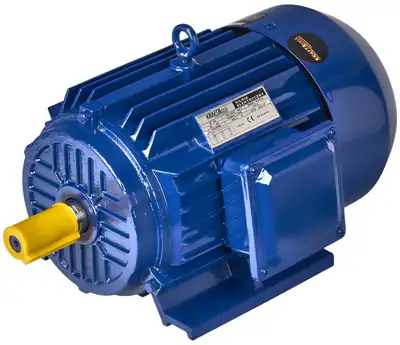 Drehstrommotor 22 kW 380 V 1420 U/min Industrie Elektromotor Maschinenmotor
