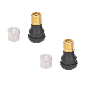 VMAX VX5 Pro Tubeless Ventile 2er Set Gerade Aftermarket Ersatz – neu – Sonstiges – überwiegend weiß – Foto 1 von 2