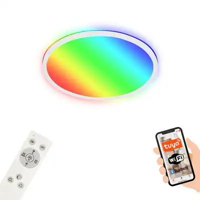LED Deckenleuchte 42cm Rund Lampe Smart RGB Bluetooth WiFi Timer Alexa Weiß 22W