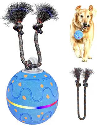 Interaktiver Hundeball Spielzeug mit 2 Seilen, automatisches Rollen & Hüpfen