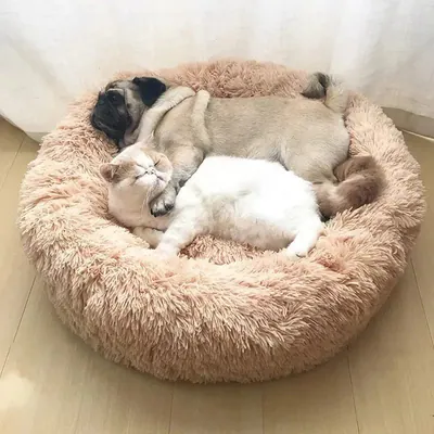 Superweiches Plüsch Katzen Donut Bett Waschbar Beruhigend Haustier Kissen