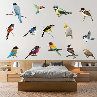 14 Stck. Vögel Elstern Wandaufkleber Papagei Haus Fenster Dekor Vinyl Kunst