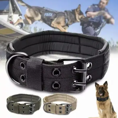 Breites taktisches strapazierfähiges Nylonhalsband für große Hunde K9 Militär