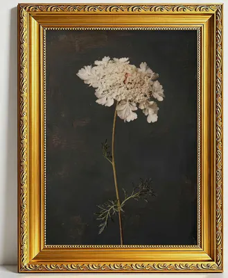 Vintage Gold gerahmte Blumen Leinwand Wandbild, Queen Anne Spitze Blumenmalerei