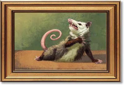 Gold gerahmt lustig Opossum Leinwand Wandbild Humor Opossum Gemälde Bild Wand De