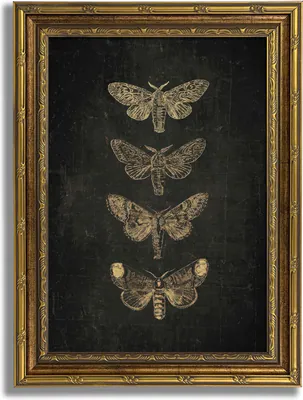 Motte Wandbild Gold gerahmt Vintage Schmetterling Leinwanddruck Dark Gothic