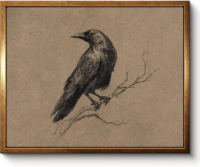 Vintage Rabe gerahmte Wandkunst, Dark Academia Krähe auf Ast, 8 × 10 Zoll