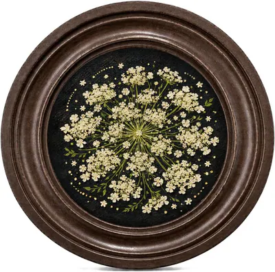 Dunkle Queen Anne Spitze rund Wandkunst Dekor, Vintage Blumendruck, Botanical