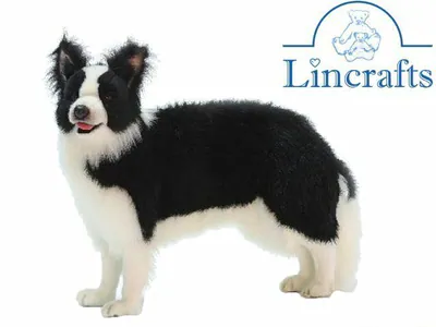 Hansa Border Collie 4563 Plüschtier Kuscheltier verkauft von Lincrafts UK Est