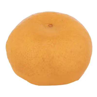 Nihon Probe Lebensmittelprobe Mandarine Orange Größe S Breite 60 x Höhe 35 mm