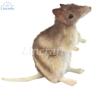 Hansa Eastern Barred Bandicoot 6235 Plüschtier Kuscheltier verkauft von