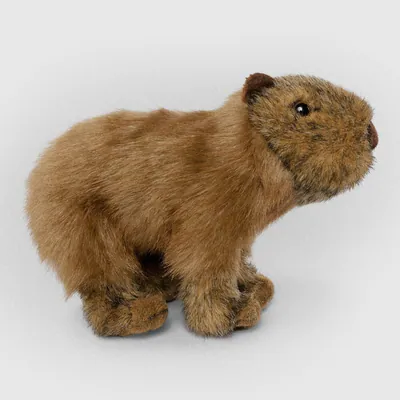 Capybara Plüschtier Stofftier Teddy von Living Nature. Wild Life Geschenk. 20cm