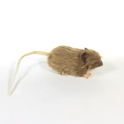 Braune dicke Ratte Plüschtier Kuscheltier von Hansa Plüschtier Teddy Nager