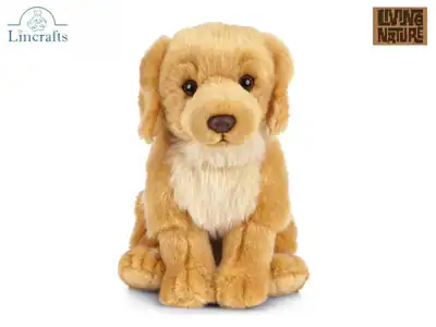 Sitzender Golden Retriever Welpe Plüschtier Stofftier Hund Teddy 10 Jahre