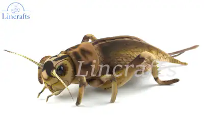 Hansa Cricket 8064 Stofftier verkauft von Lincrafts UK Est. 1993