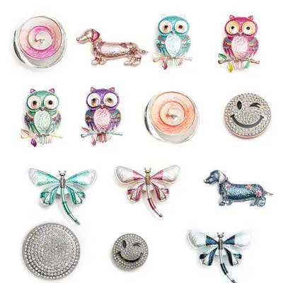 Bunte Magnetbrosche Eule Hund Libelle Strass Brosche Schalclip Tuchhalter Damen
