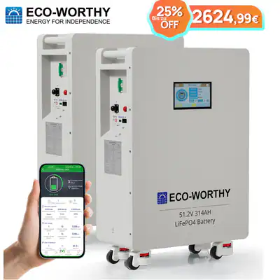 ECO-WORTHY 48V 314AH LiFePO4 32kWh Batteriespeicher Speicher 2x16kWh Akku 2pcs