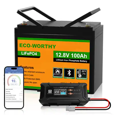12.8V 100Ah LiFePO4 Bluetooth Batterie mit 12/24V 20A Ladegerät für Wohnmobile