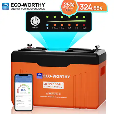 ECO-WORTHY 24V 100AH LiFePO4 Batterie mit Bluetooth Statusanzeige für Wohnmobile