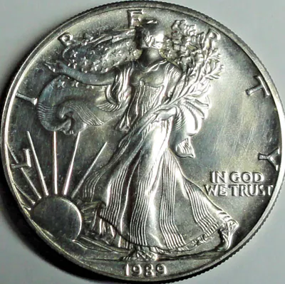 USA 1 Dollar 1989 1 Oz Silber.999 Walking Liberty Stgl/BU mit Kapsel (2)