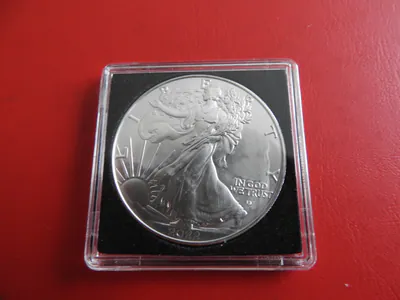 * USA Silver Eagle 1 Dollar 2022 * 1 Oz Silber 999 * (Schub49)