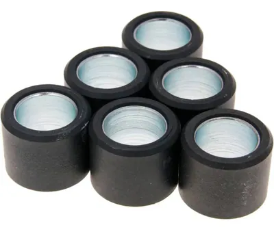 6 Polini 242.303 Variorollen 23x18 20g Variomatikgetriebe Kit EAN 4057234981410
